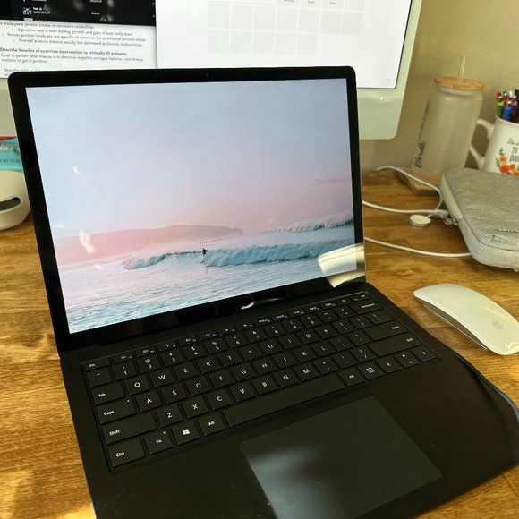 Microsoft Surface Laptop (256GB SSD, Intel Core i5, 16 GB RAM) Laptop